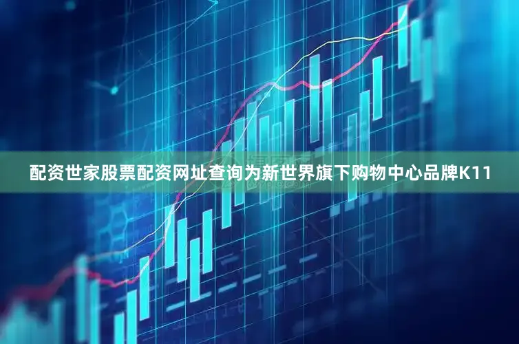 配资世家股票配资网址查询为新世界旗下购物中心品牌K11