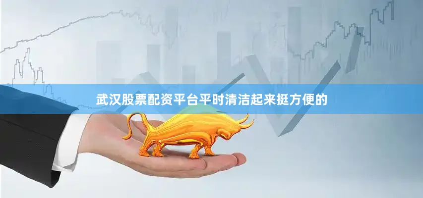 武汉股票配资平台平时清洁起来挺方便的