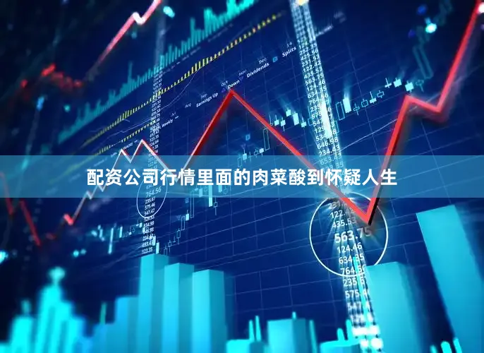 配资公司行情里面的肉菜酸到怀疑人生