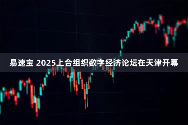易速宝 2025上合组织数字经济论坛在天津开幕