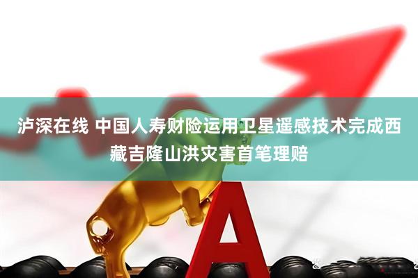 泸深在线 中国人寿财险运用卫星遥感技术完成西藏吉隆山洪灾害首笔理赔