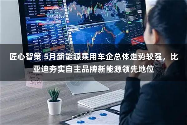匠心智策 5月新能源乘用车企总体走势较强,比亚迪夯实自主品牌新能源领先地位