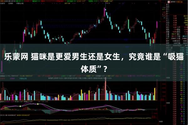 乐蒙网 猫咪是更爱男生还是女生,究竟谁是“吸猫体质”?