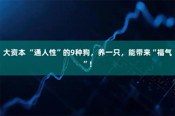 大资本 “通人性”的9种狗,养一只,能带来“福气”!