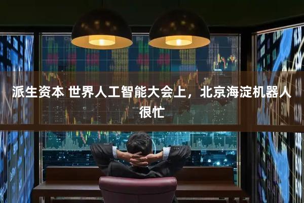 派生资本 世界人工智能大会上，北京海淀机器人很忙